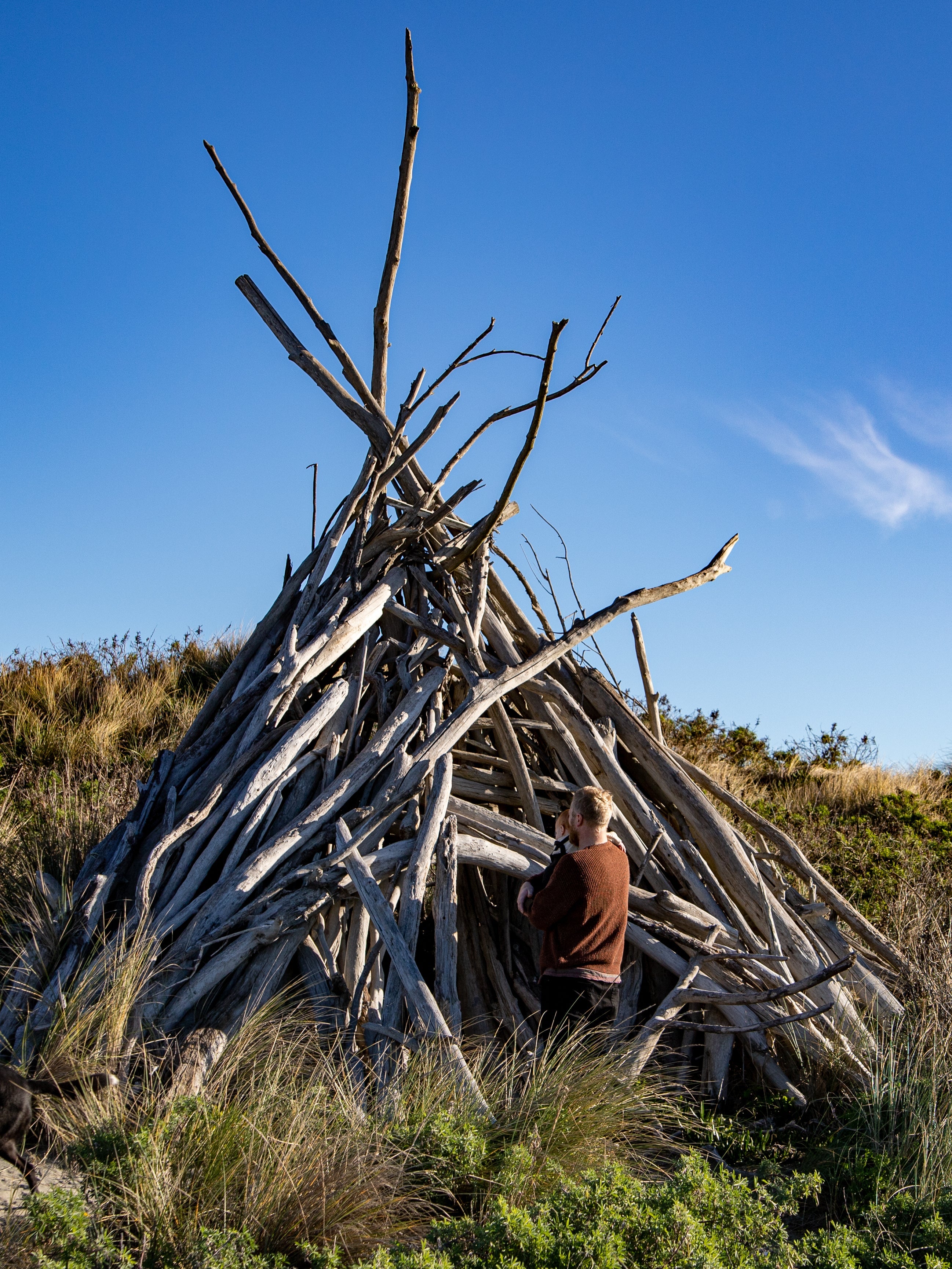 Salt & Sand Collection