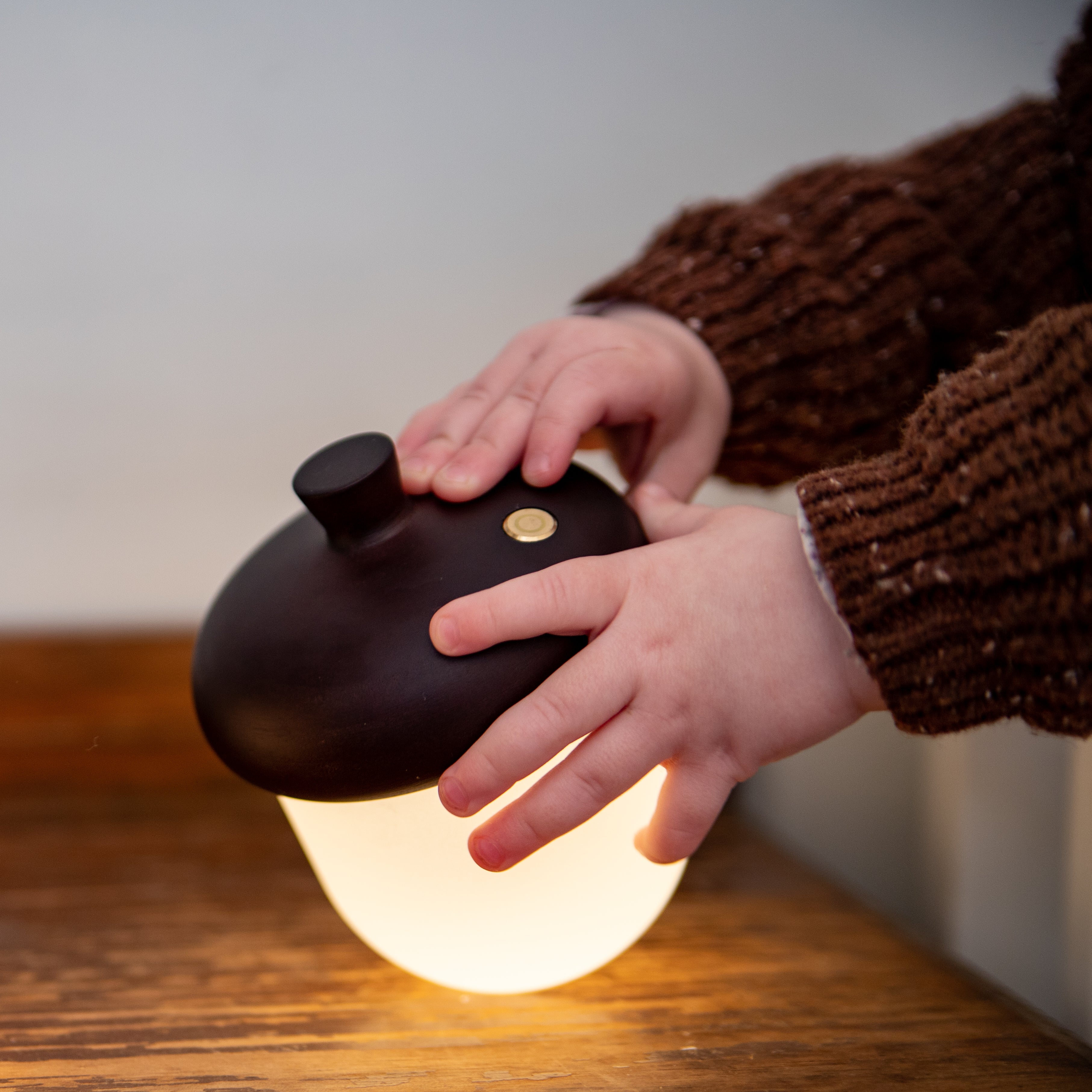 Acorn Night Light