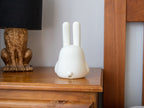 Bunny Night Light
