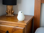 Bear Night Light