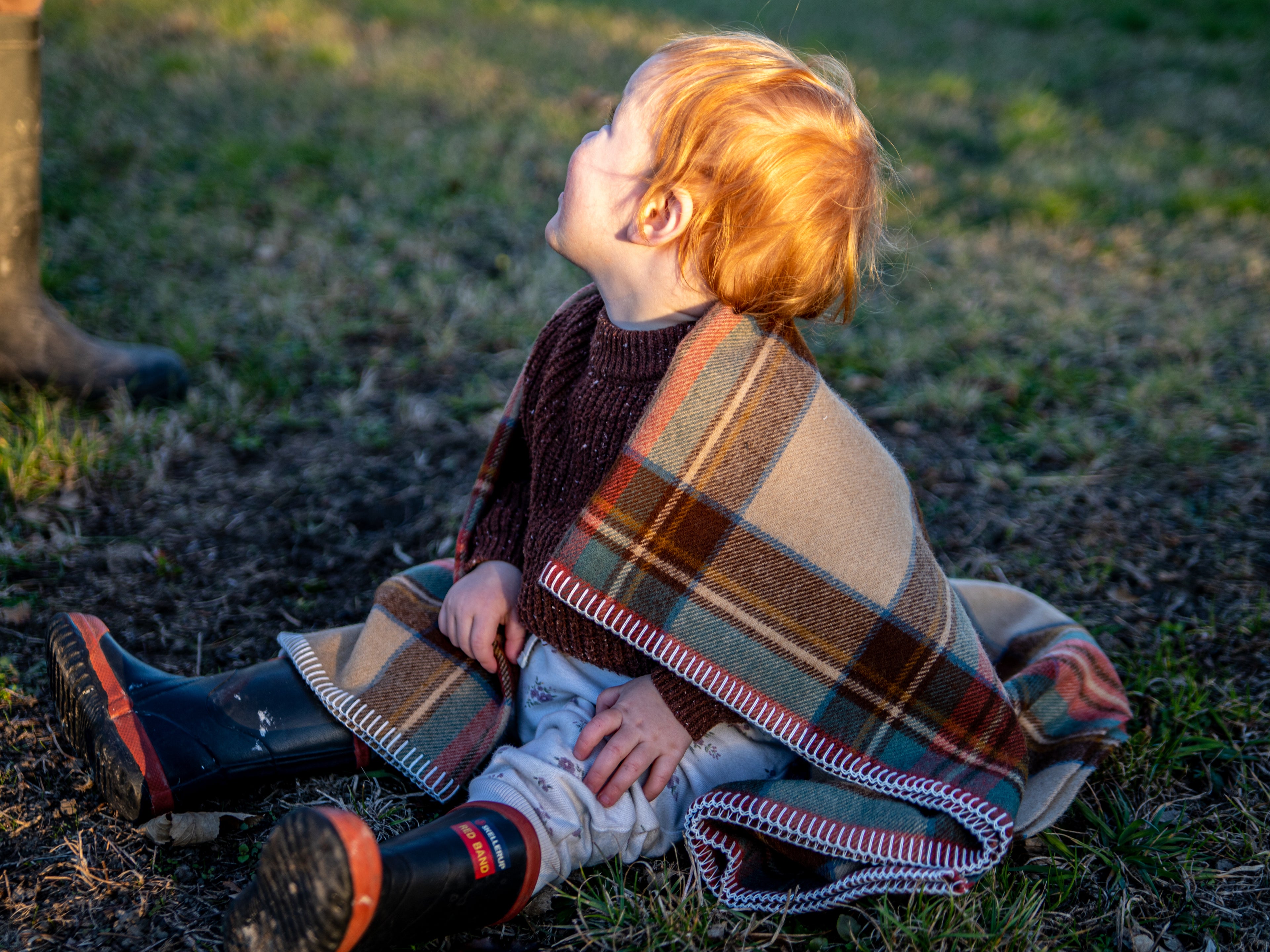 Mackintosh Merino Blanket