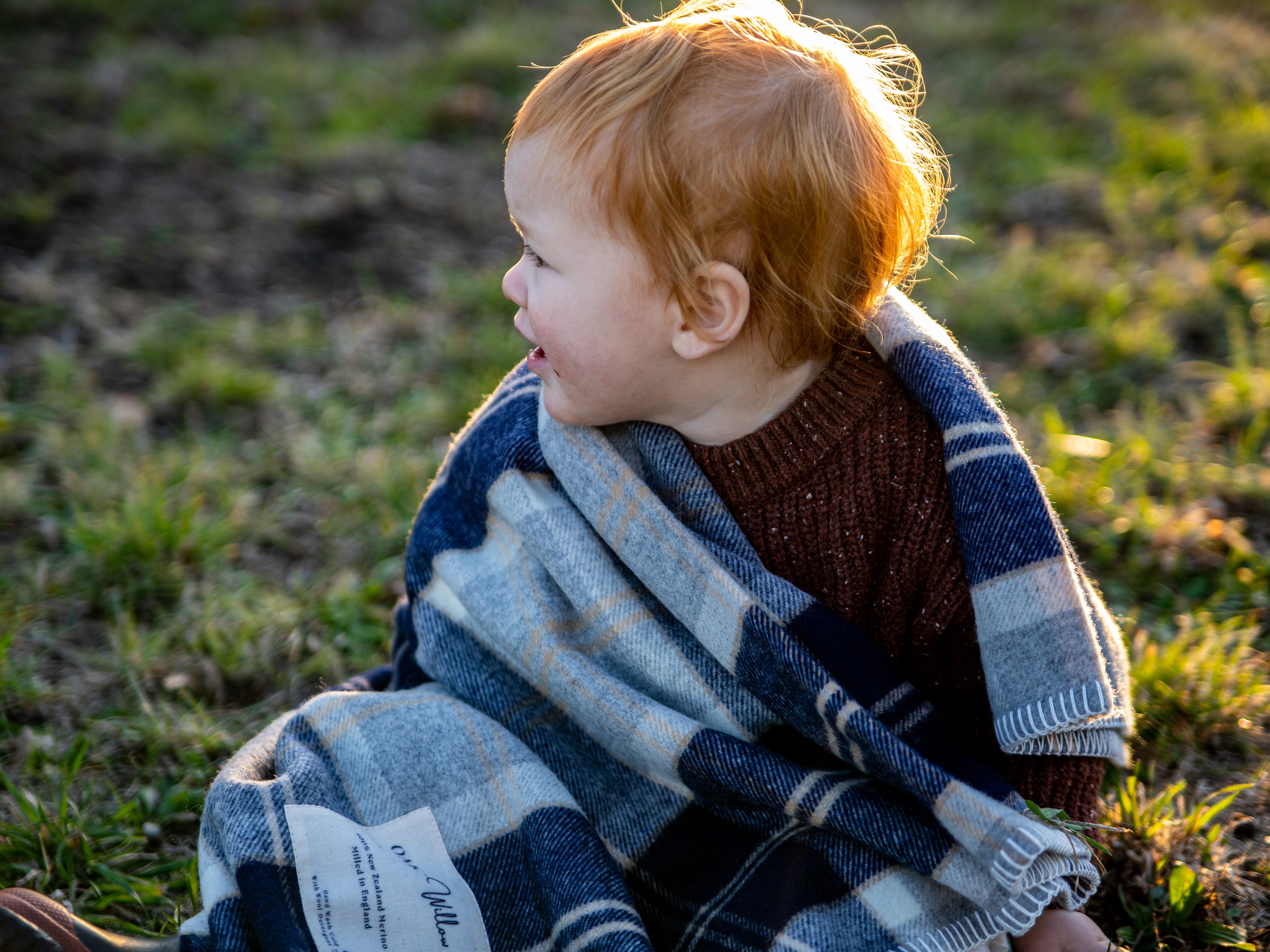 Collie Merino Blanket