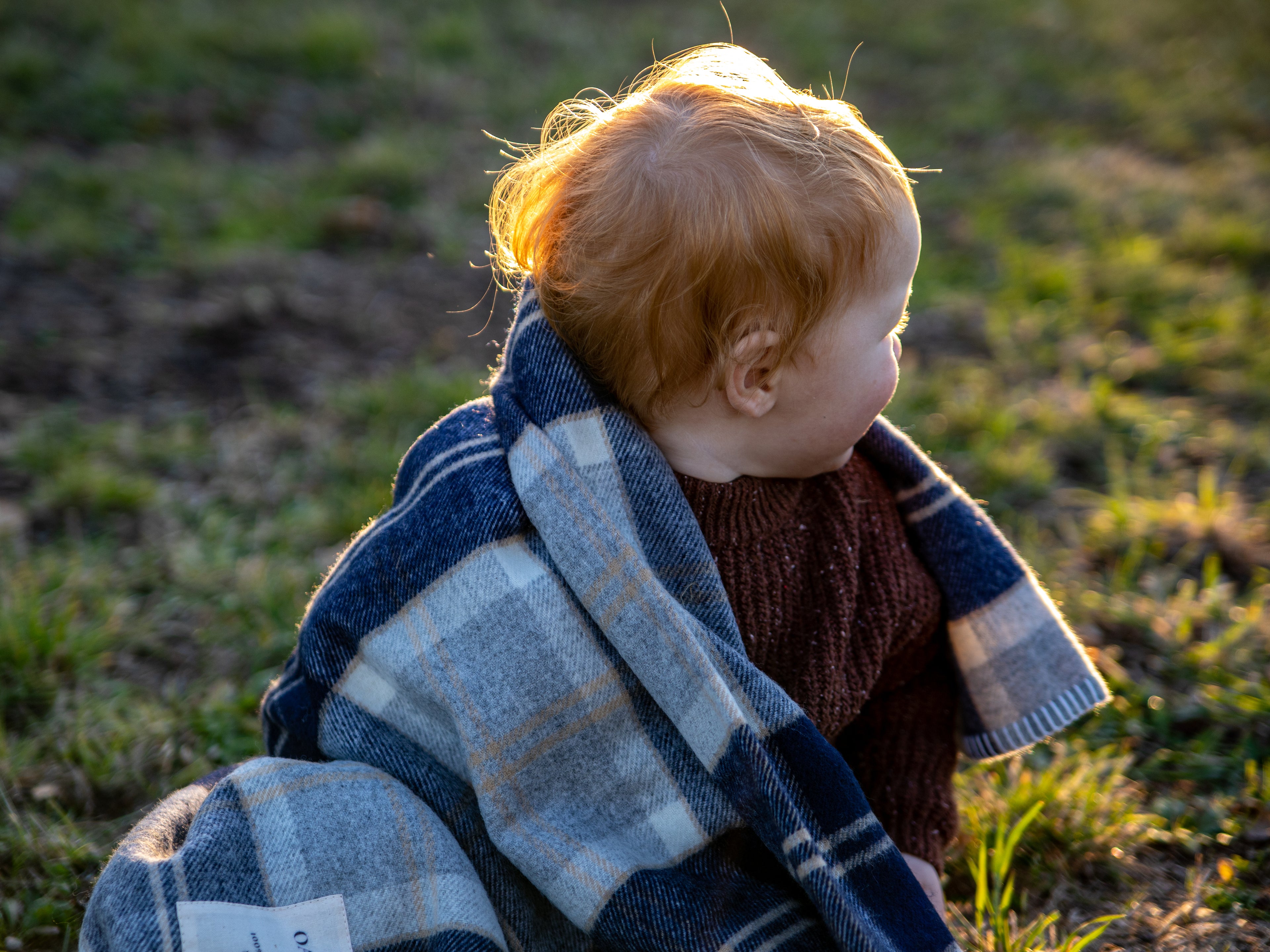Collie Merino Blanket