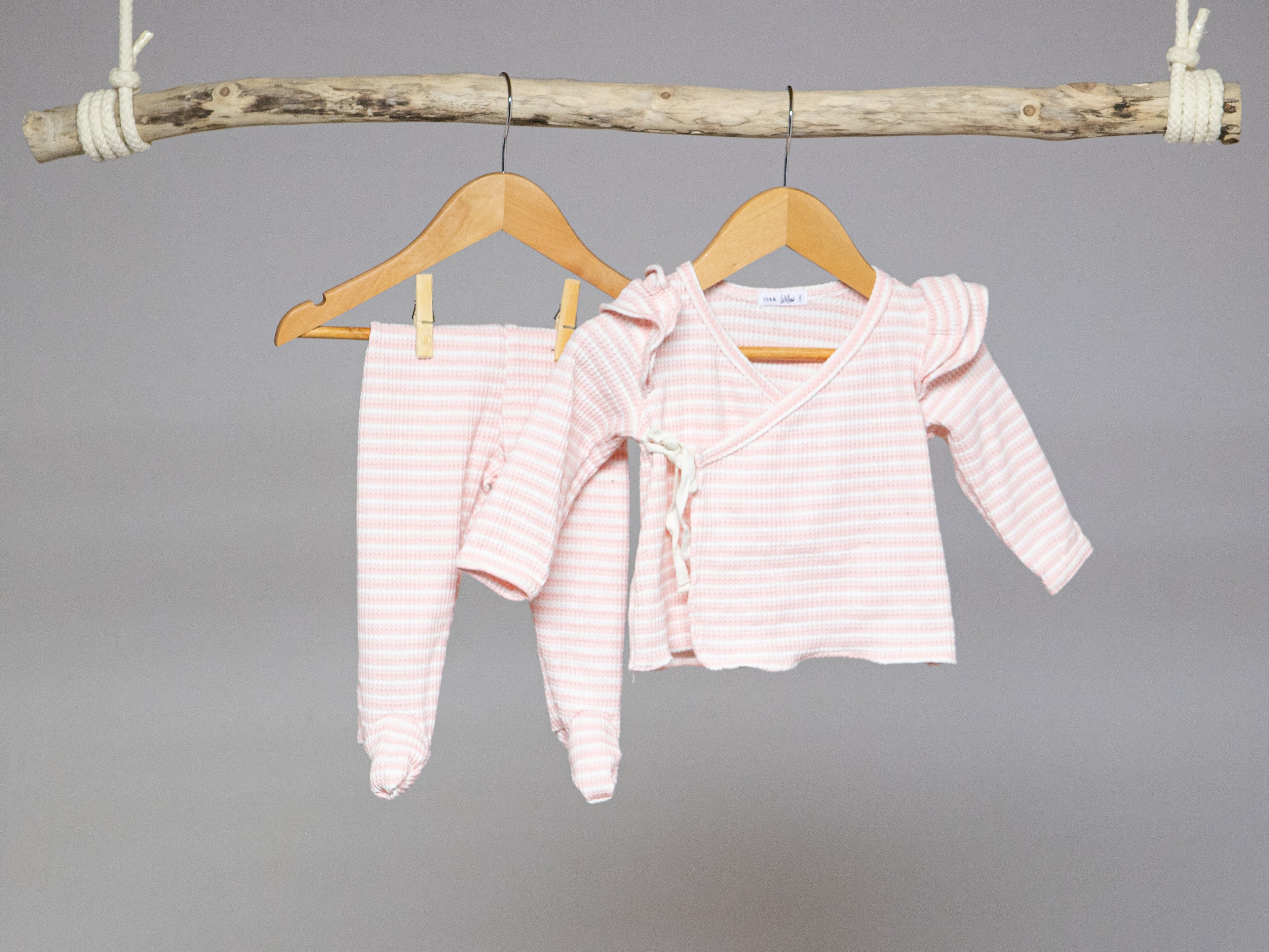 Orchid Set, Sea Shell