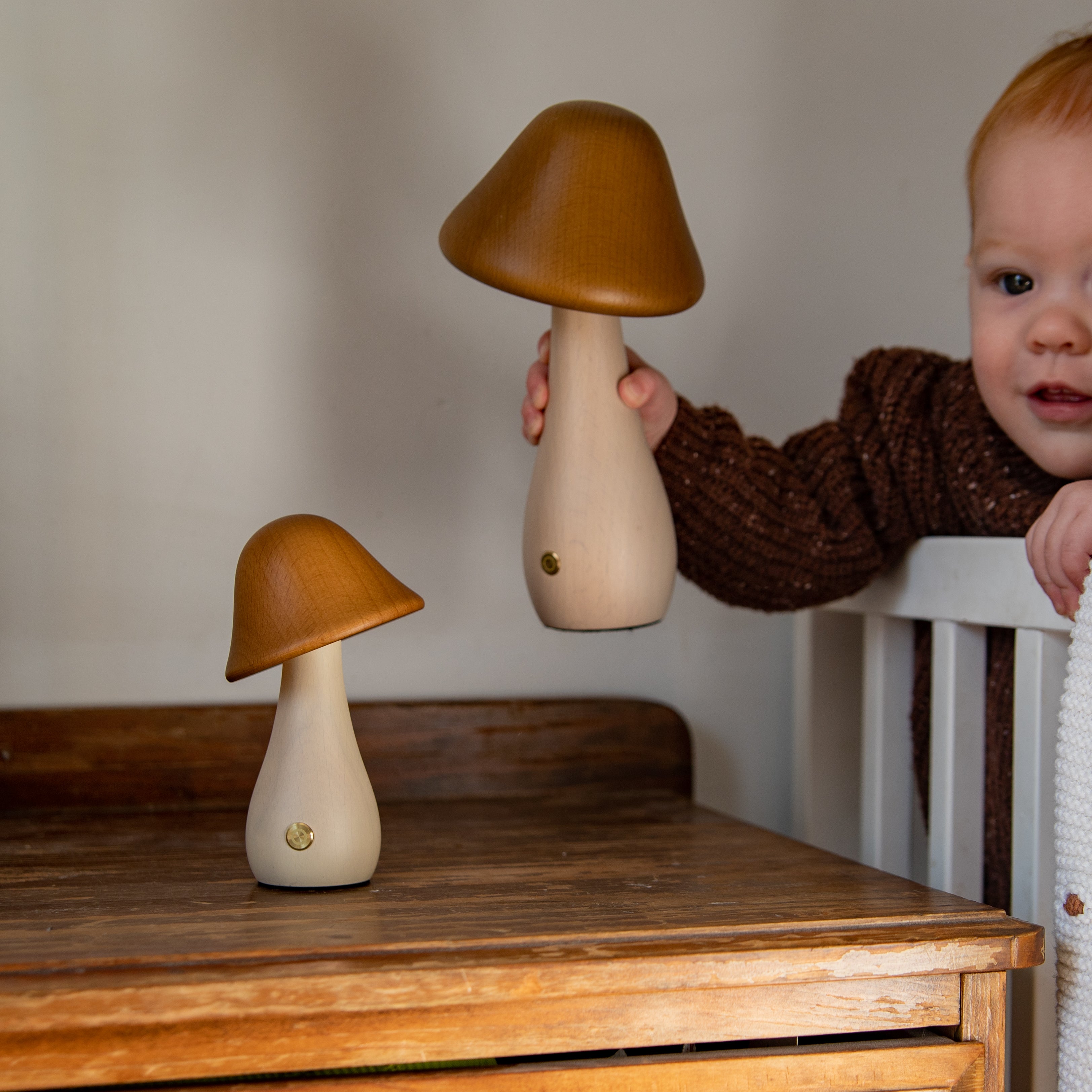 Mushroom Night Light