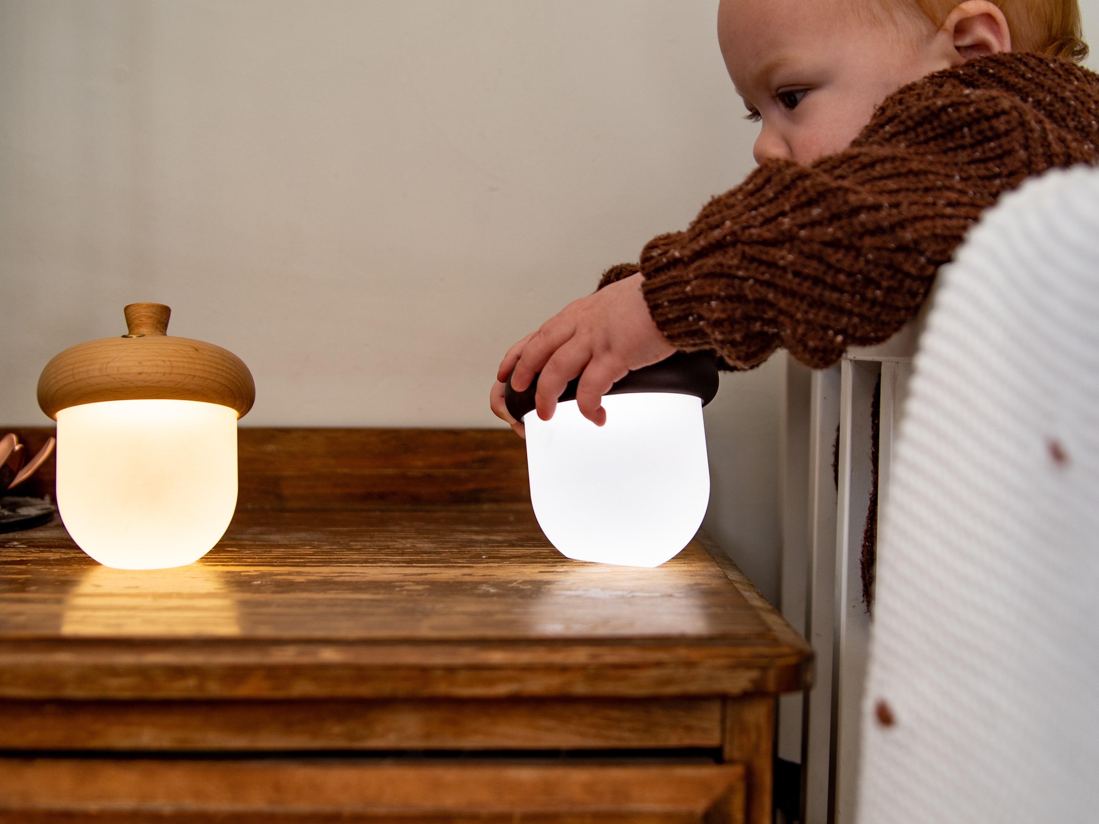 Acorn Night Light