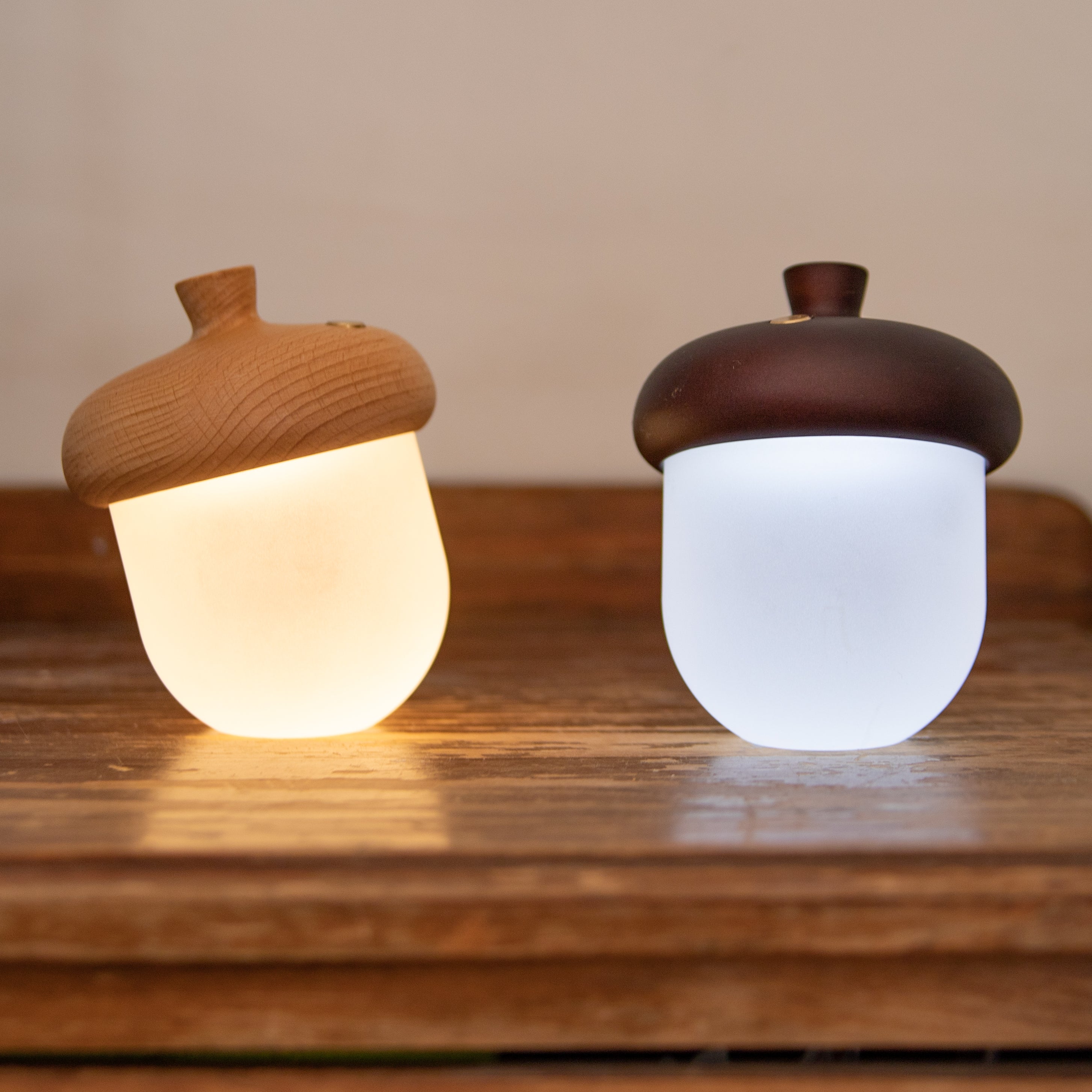 Acorn Night Light
