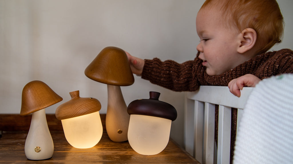 Acorn Night Light