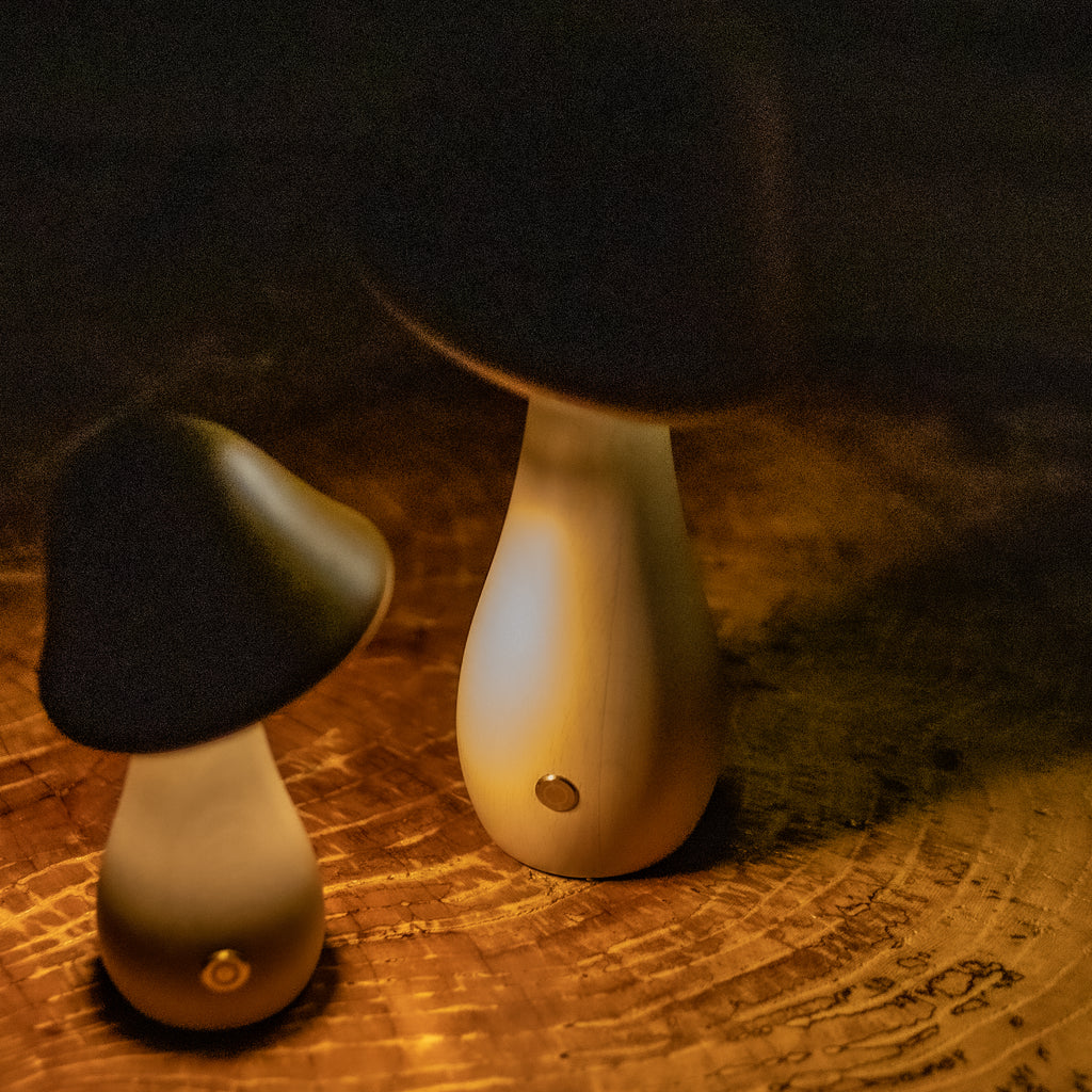 Mushroom Night Light