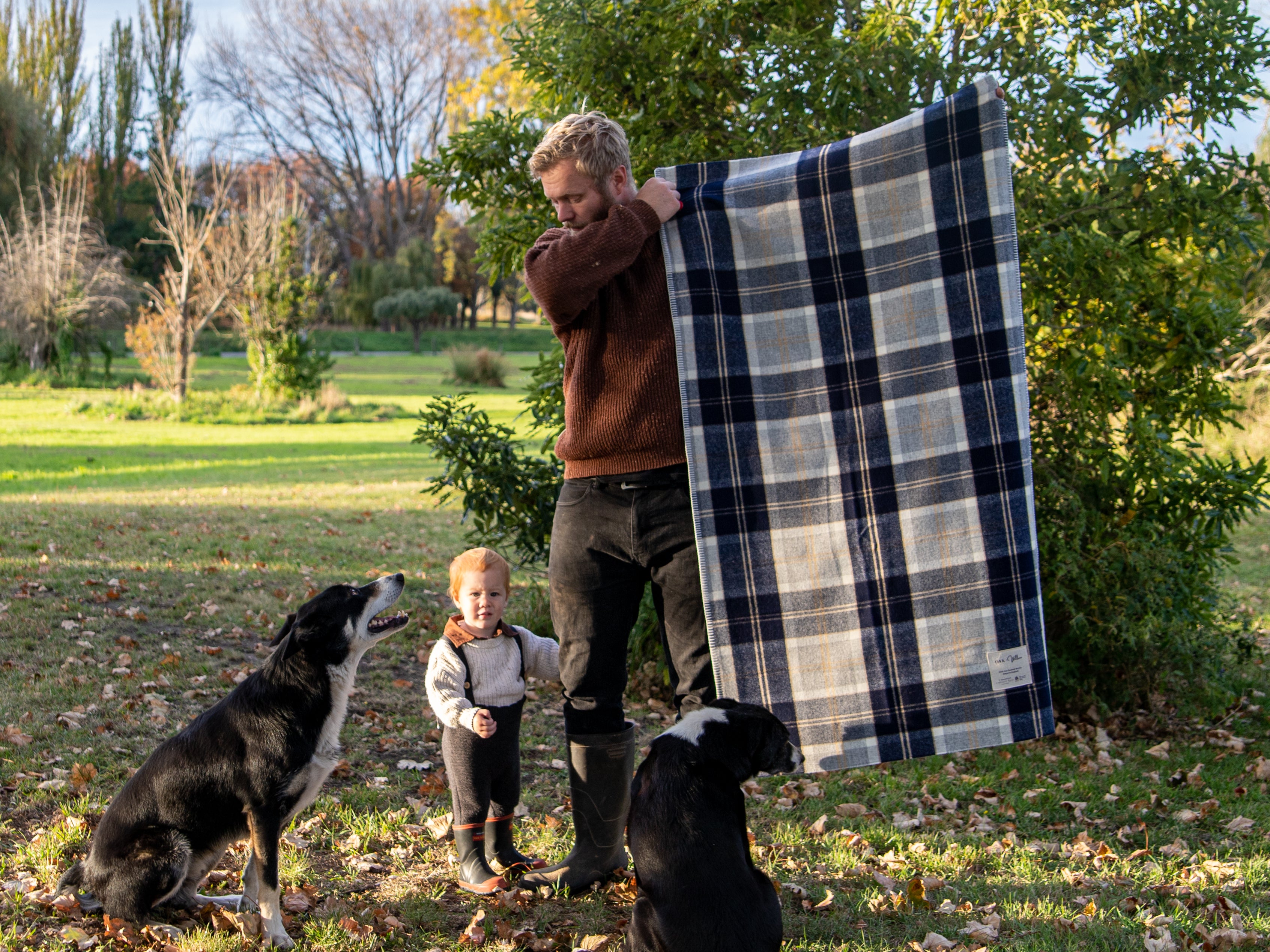 Collie Merino Blanket
