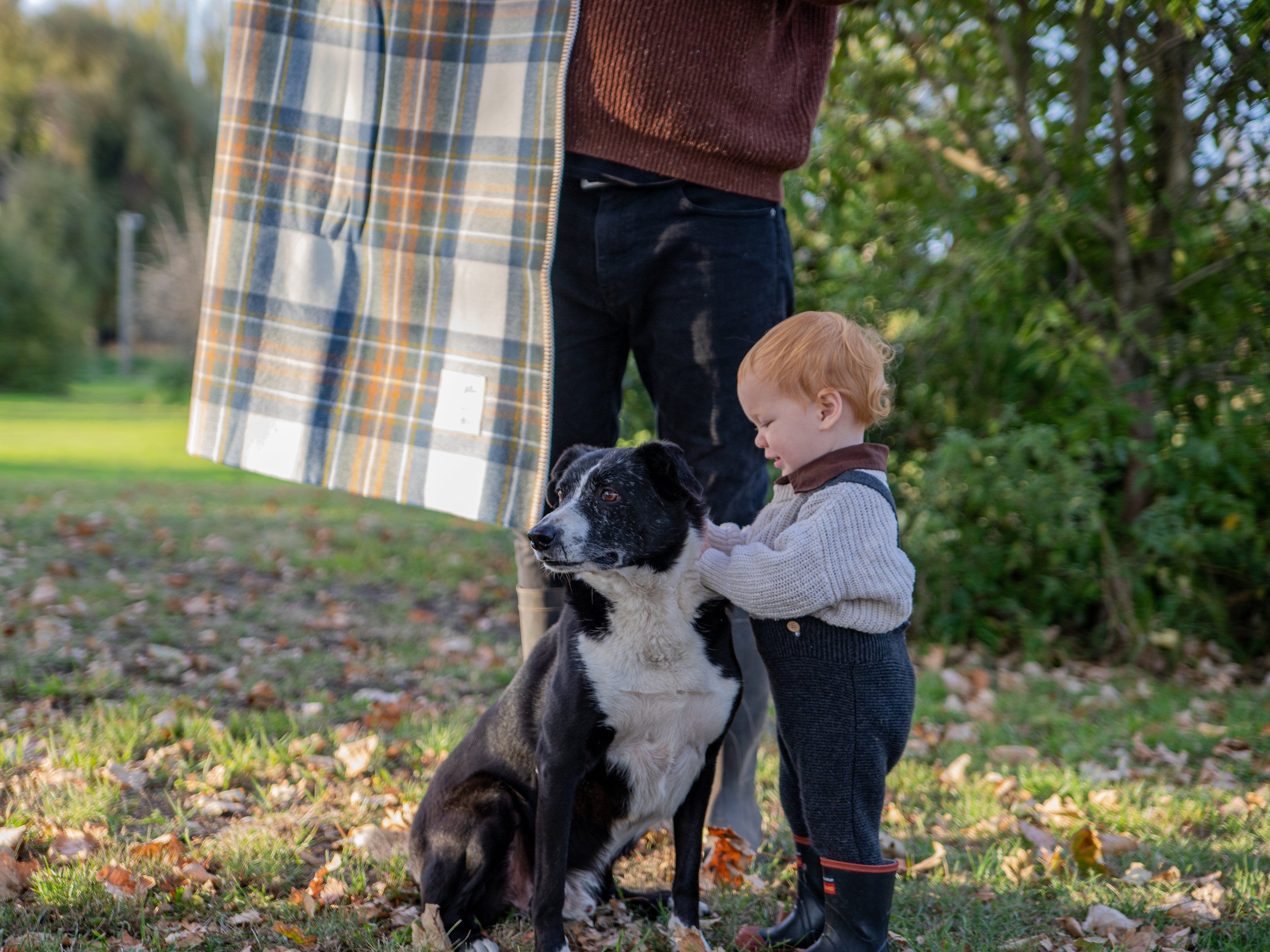 Kelpie Merino Blanket