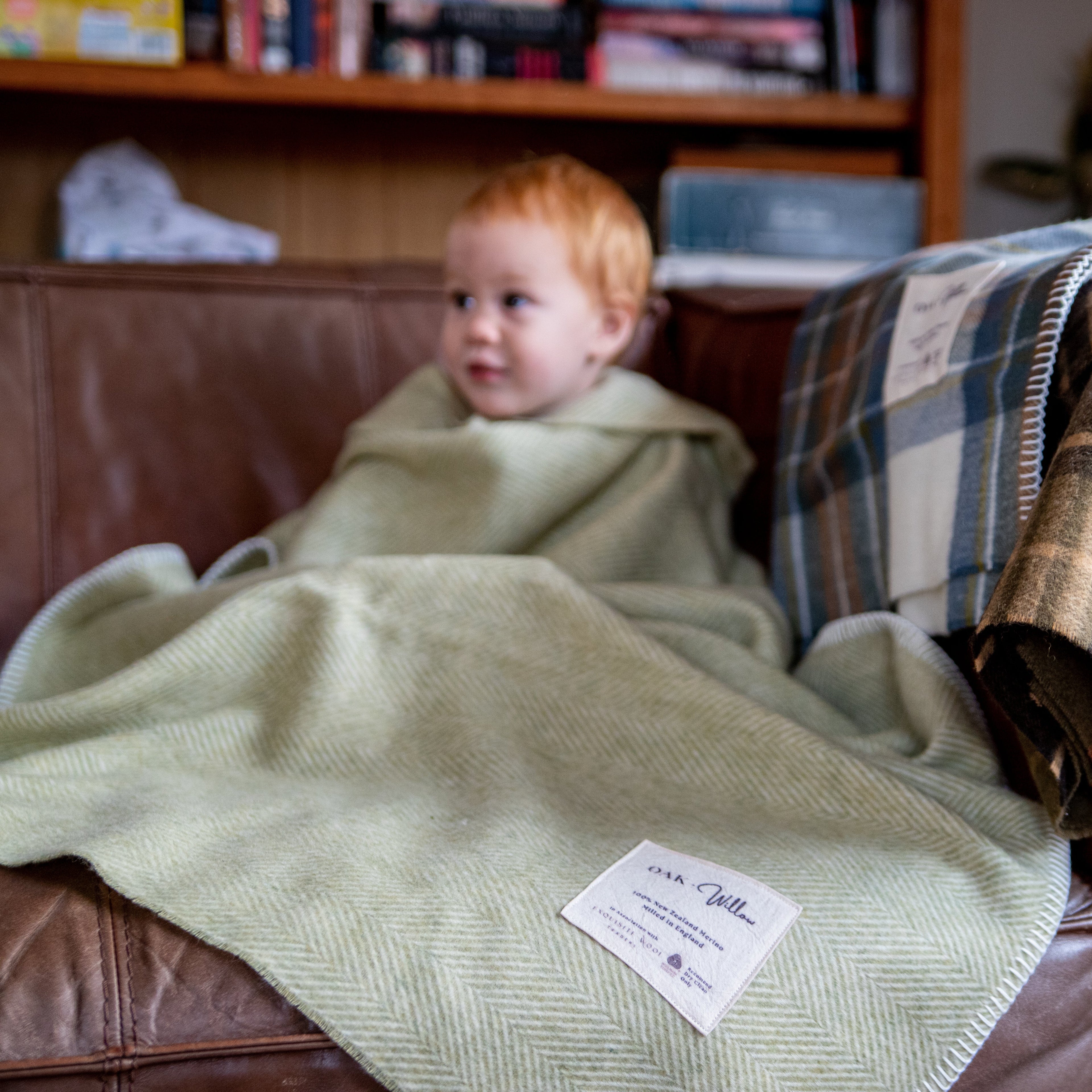 Retriever Merino Blanket Sage