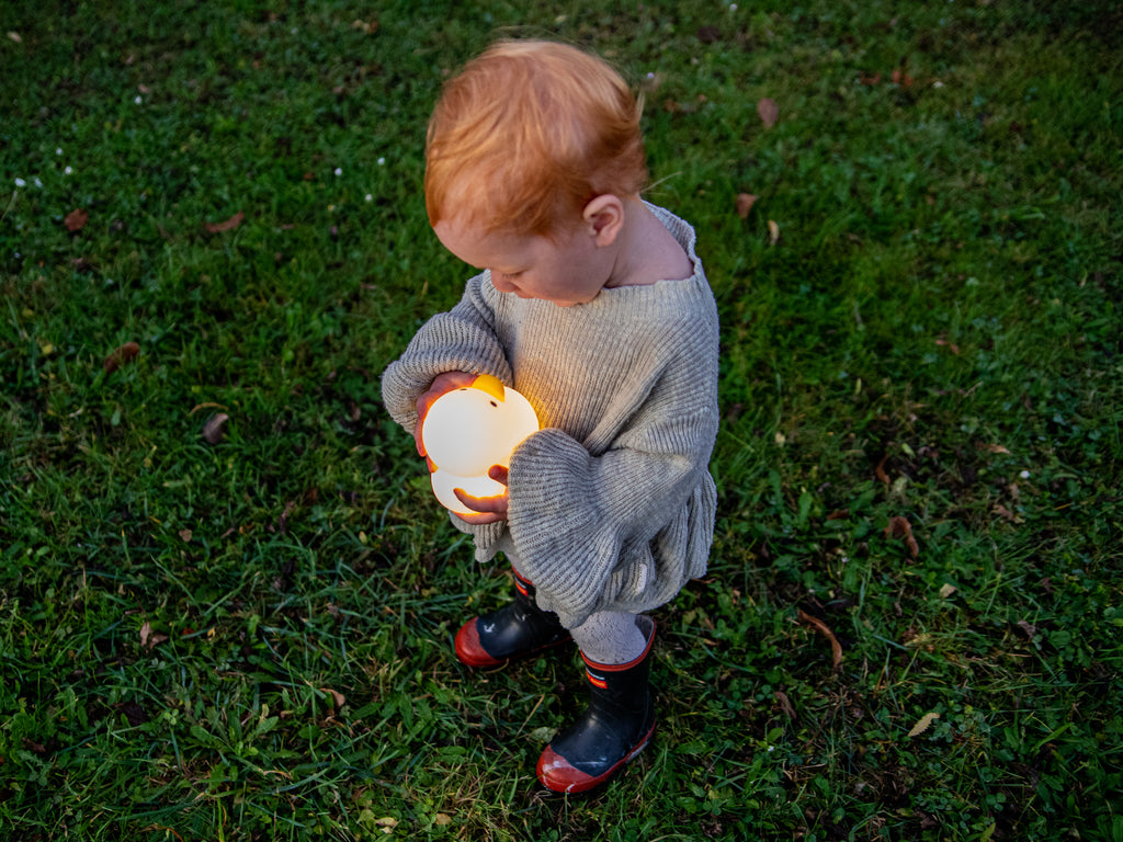 Duck Night Light