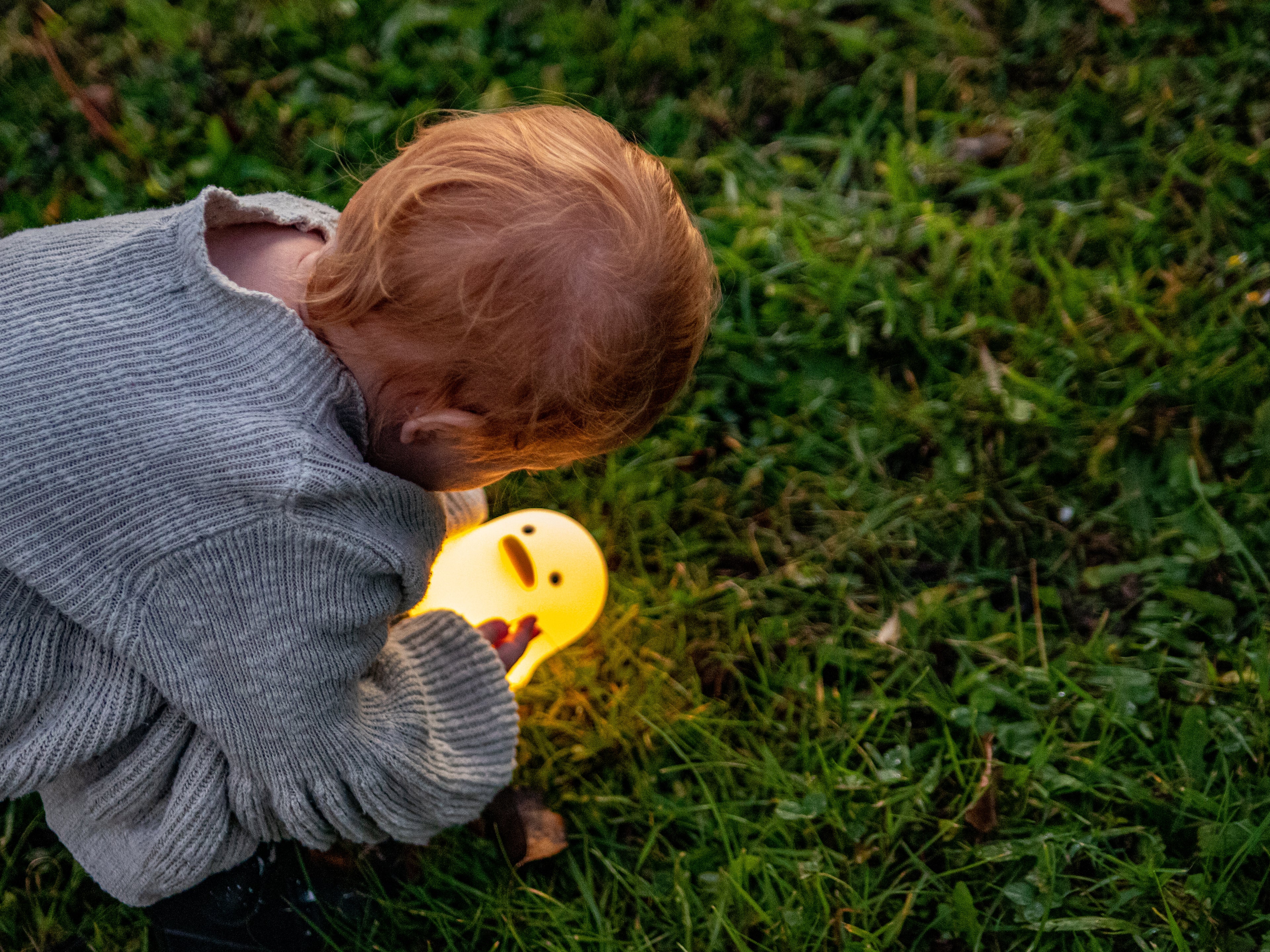 Duck Night Light