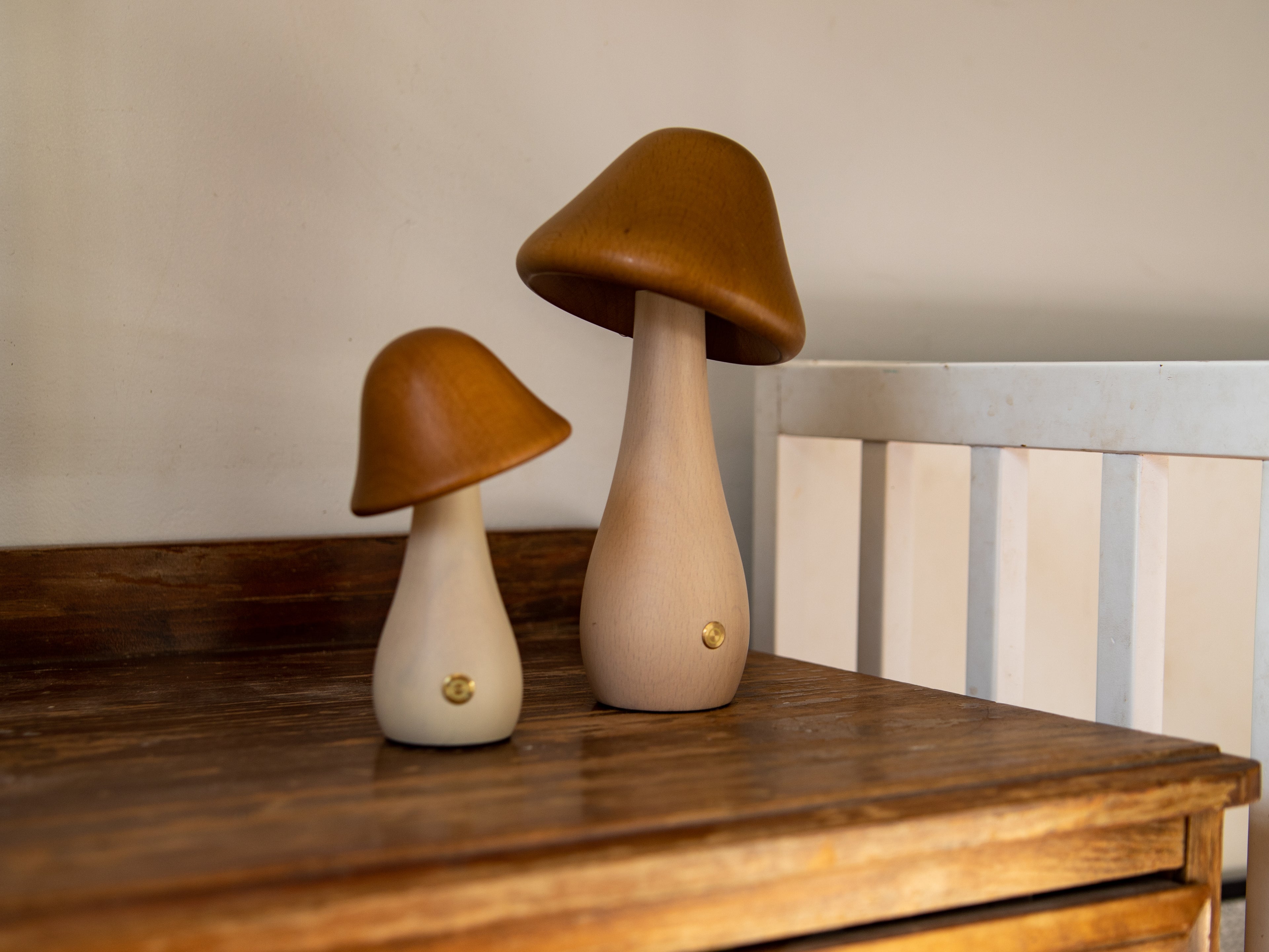 Mushroom Night Light
